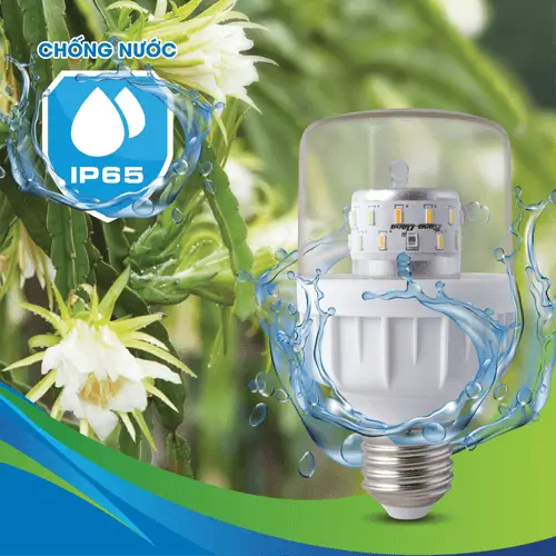 Đèn LED nông nghiệp